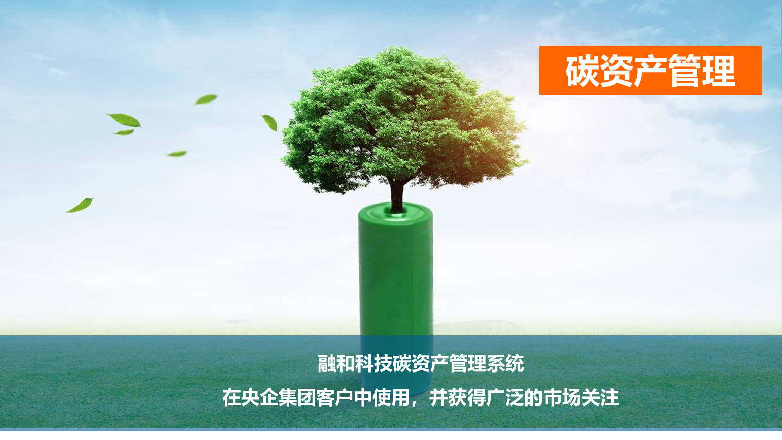 碳资产.png